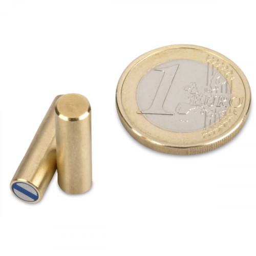 NdFeB Magnete cilindrico con base Ø 6 x 20 mm, ottone, tolleranza h6 - 1 kg