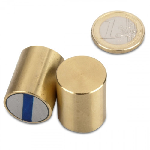 NdFeB Magnete cilindrico con base Ø 20 x 25 mm, ottone, tolleranza h6 - 28,6 kg