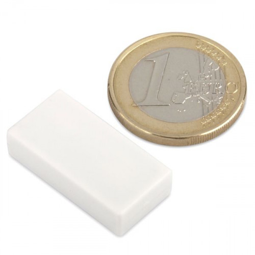 Magnete al neodimio 25,4 x 12,7 x 6,3 mm con rivestimento in plastica - bianco - 3,8 kg