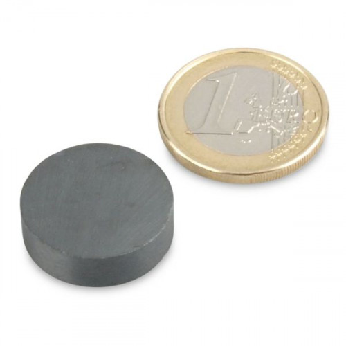 Disco magnetico Ø 20,0 x 6,0 mm Y30 ferrite - aderenza 800 g