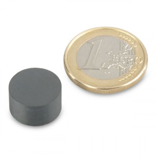 Disco magnetico Ø 14,0 x 8,0 mm Y30 ferrite - aderenza 450 g