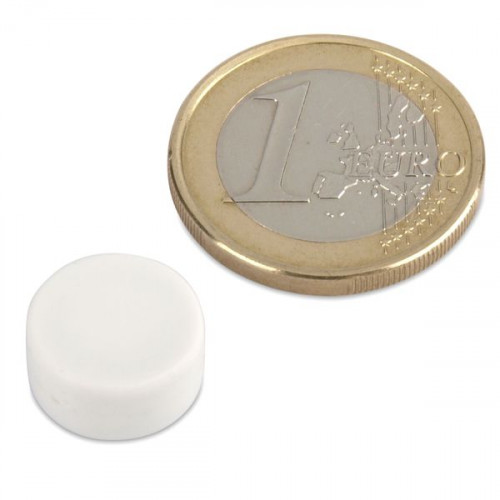 Magnete al neodimio Ø 12,7 x 6,3 mm con rivestimento in plastica - bianco - 2 kg
