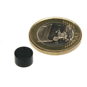 Disco magnetico Ø 8,0 x 5,0 mm N45 Epoxy - aderenza 2,5 kg