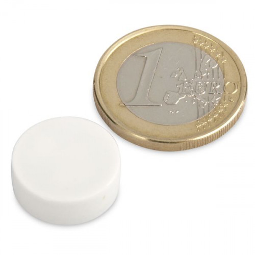 Magnete al neodimio Ø 16,0 x 6,0 mm con rivestimento in plastica - bianco 2,6 kg