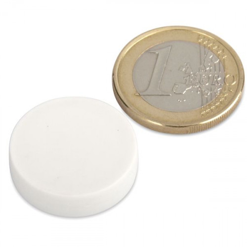 Magnete al neodimio Ø 22,0 x 6,0 mm con rivestimento in plastica - bianco - 4,1 kg