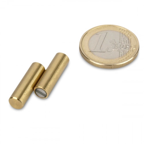 SmCo Magnete cilindrico con base Ø 6 x 20 mm, ottone, tolleranza h6 - 800 g